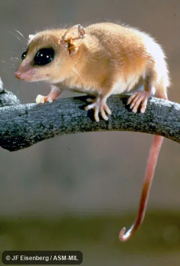 Side view of captive Side view of captive