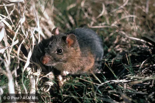 Front view Front view