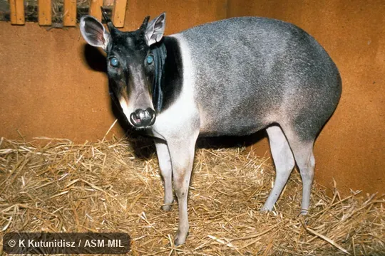 Oblique view of female standing Oblique view of female standing