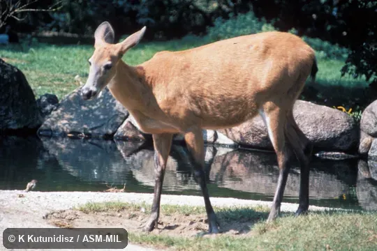 Oblique view of female standing Oblique view of female standing