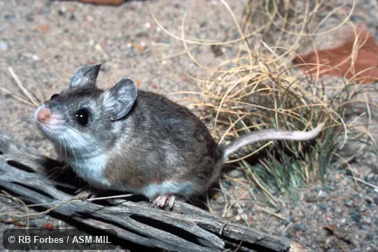 Oblique front view Oblique front view