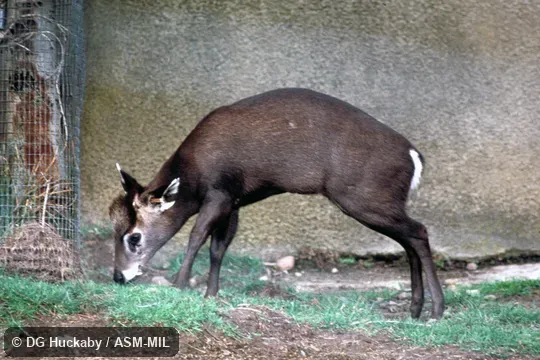 Side view, standing, male Side view, standing, male