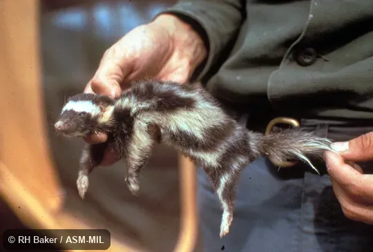 Side view, hand-held Side view, hand-held