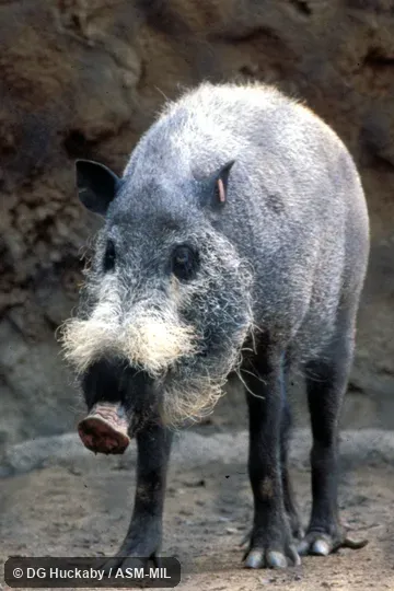 View from front, feet visible View from front, feet visible