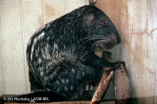 Side view, sitting Side view, sitting