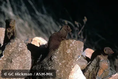 Group on rocks Group on rocks