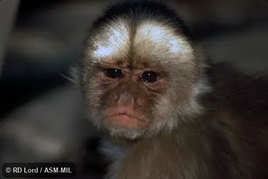 Close-up of face Close-up of face