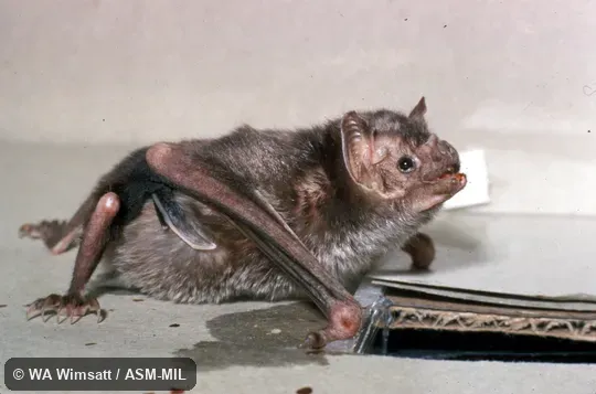 View on flat surface, using "wrists" for support View on flat surface, using "wrists" for support