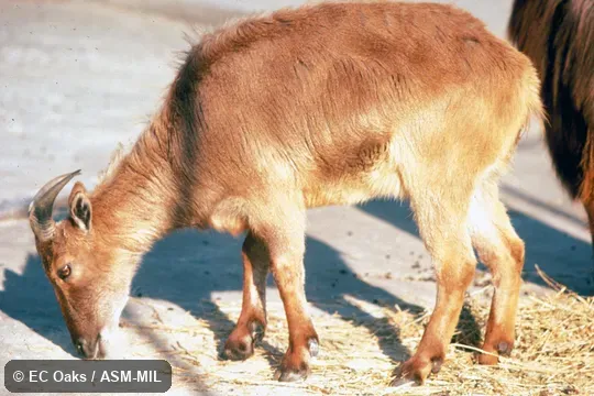 Side view of female Side view of female