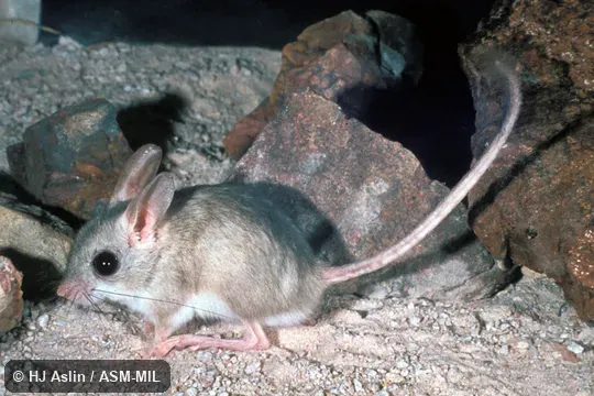 Side view of captive Side view of captive