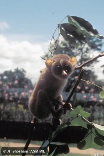 Oblique view Oblique view