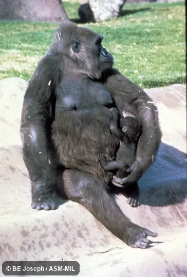 Sitting adult and infant Sitting adult and infant