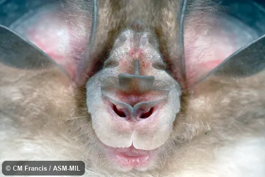 Close-up of face. Close-up of face.