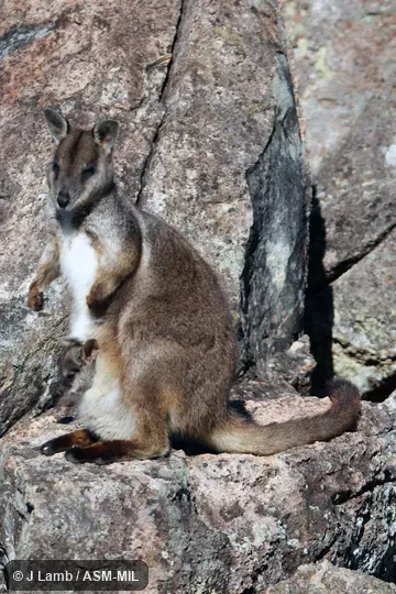 Basking in late PM. Basking in late PM.