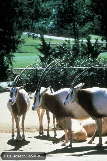 Side view of group Side view of group