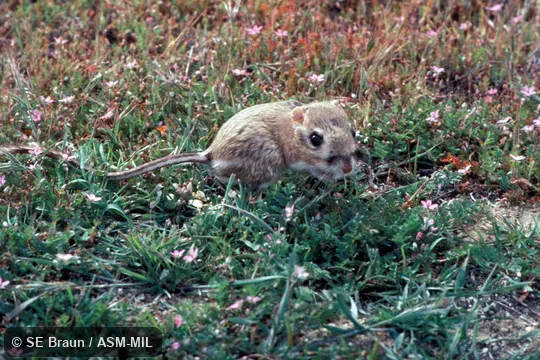 Oblique view Oblique view