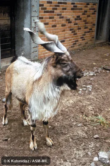 Side view of male Side view of male