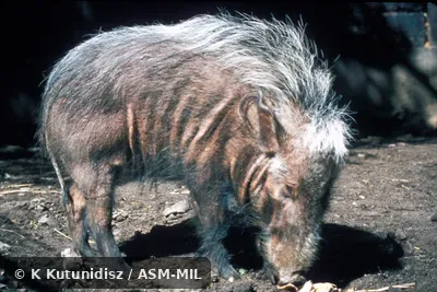 Side view of female Side view of female